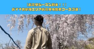 【お花見シーズン到来！！】おすすめ新宿エリアお花見有酸素コース３選！