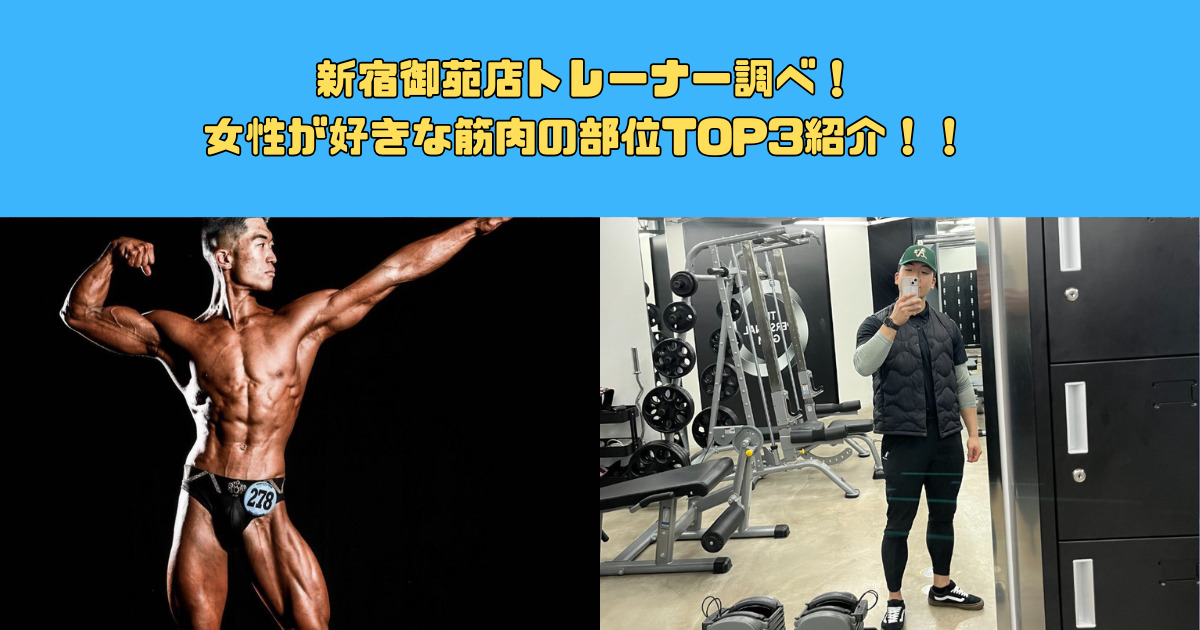 【男性必見！！】新宿御苑店トレーナー調べ！女性が好きな筋肉の部位TOP3紹介！！