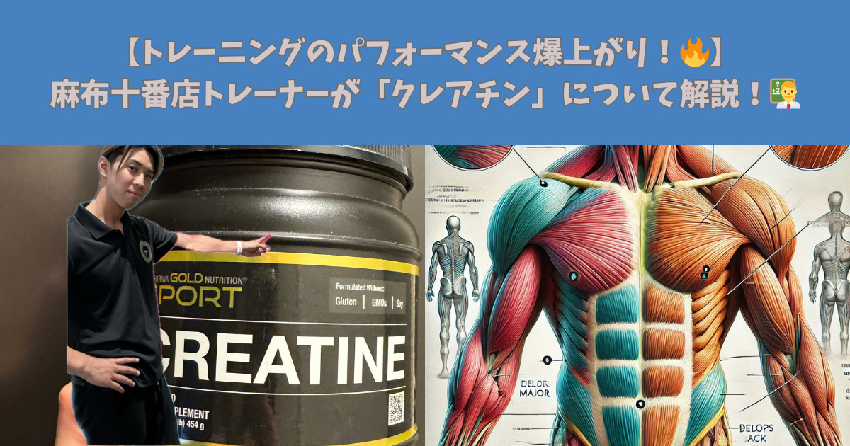 【トレーニングのパフォーマンス爆上がり！🔥】麻布十番店トレーナーが「クレアチン」について解説！👨‍🏫
