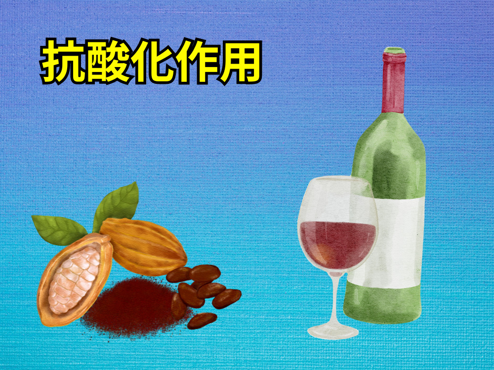 カカオ豆と赤ワイングラスとボトル