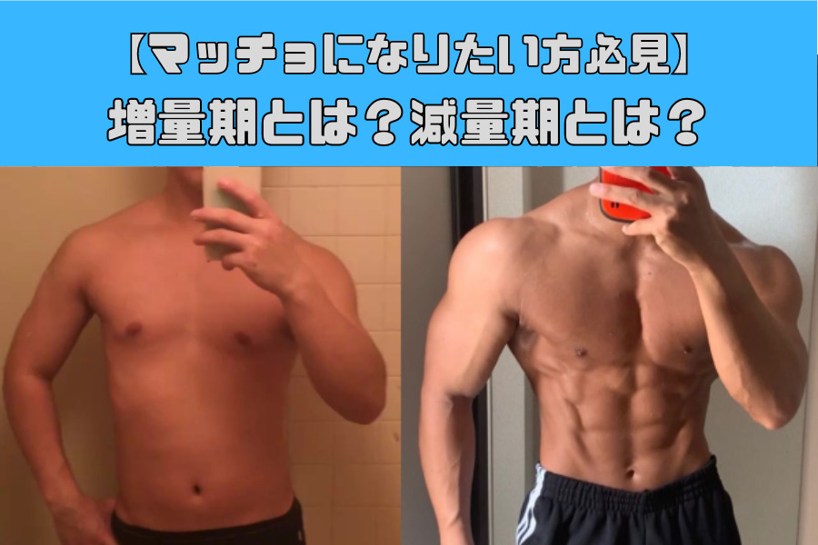 筋トレ疑問】なぜマッチョは増量期と減量期を分けるのか？ - THE PERSONAL GYM (ザ パーソナル ジム)