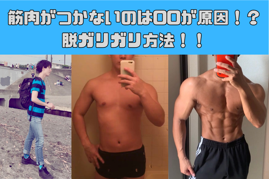 筋肉がつかないのは〇〇が原因！？脱ガリガリ方法！！