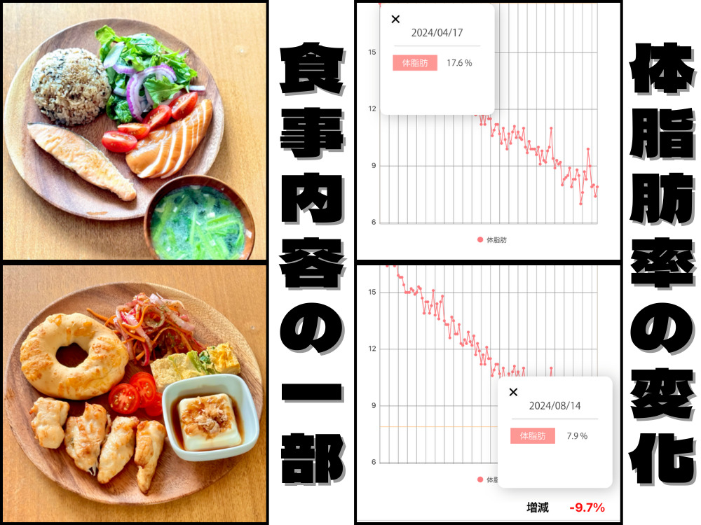 食事管理と体脂肪率の変化