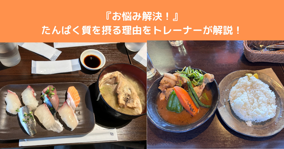 【お悩み解決！！】タンパク質を摂った方がいいと聞くけどなぜ良いのか八王子店トレーナーが解説！