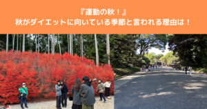 【運動の秋】秋はダイエットしやすい時期はなぜそう言われているか？八王子店トレーナーがその真実を解説！！