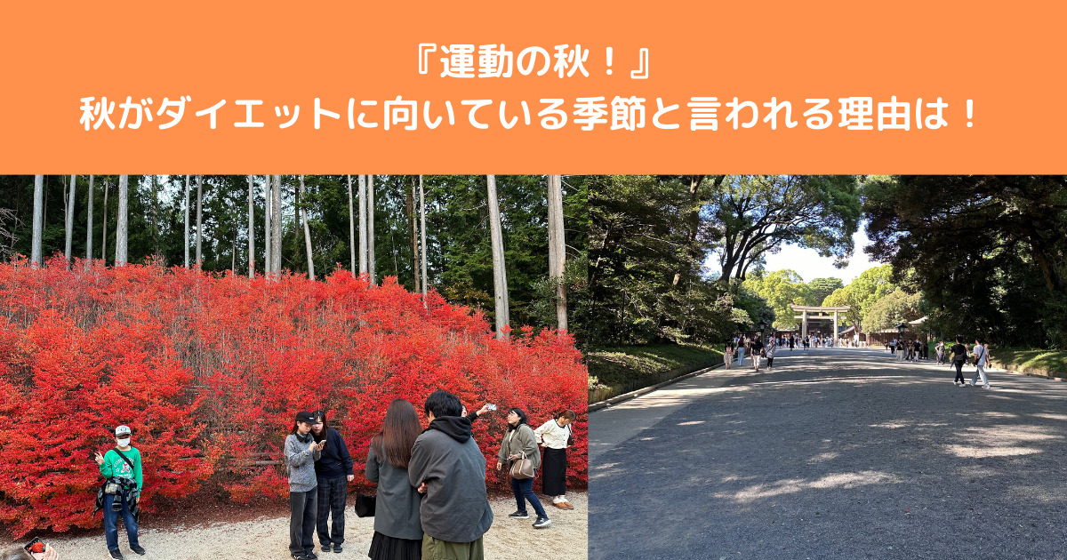 【運動の秋】秋はダイエットしやすい時期はなぜそう言われているか？八王子店トレーナーがその真実を解説！！