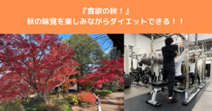 【食欲の秋】　秋の味覚がダイエットにいい！？八王子店トレーナーがどのような効果があるか解説！