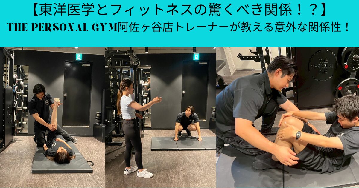 【東洋医学とフィットネスの驚くべき関係！？】THE PERSONAL GYM阿佐ヶ谷店トレーナーが教える意外な関係性！