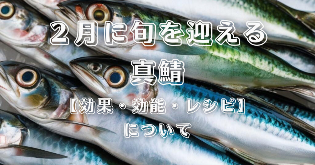 THE PERSONAL GYM 天神橋筋六丁目店トレーナーが教える！２月に旬を迎える【真鯖】について