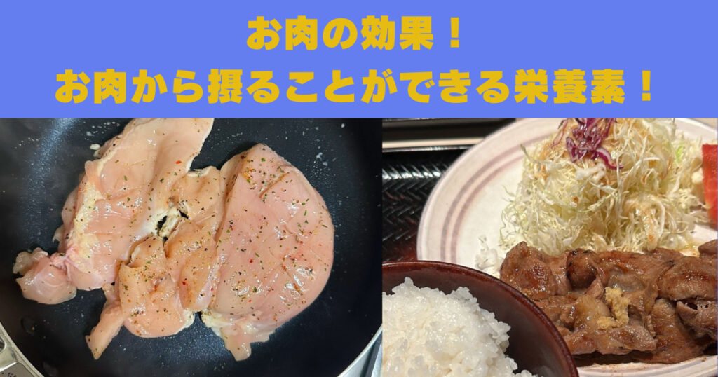 【麻布十番店姫野トレーナーオススメ！】お肉から摂ることができる栄養素について！