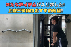新たなアイテムの紹介！三頭筋のトレーニングおすすめ種目！