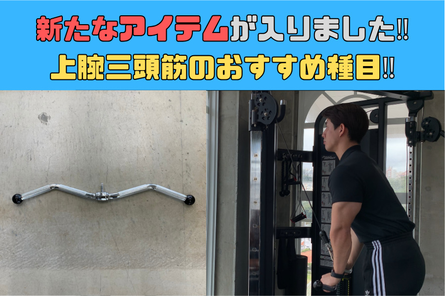 新たなアイテムの紹介！三頭筋のトレーニングおすすめ種目！