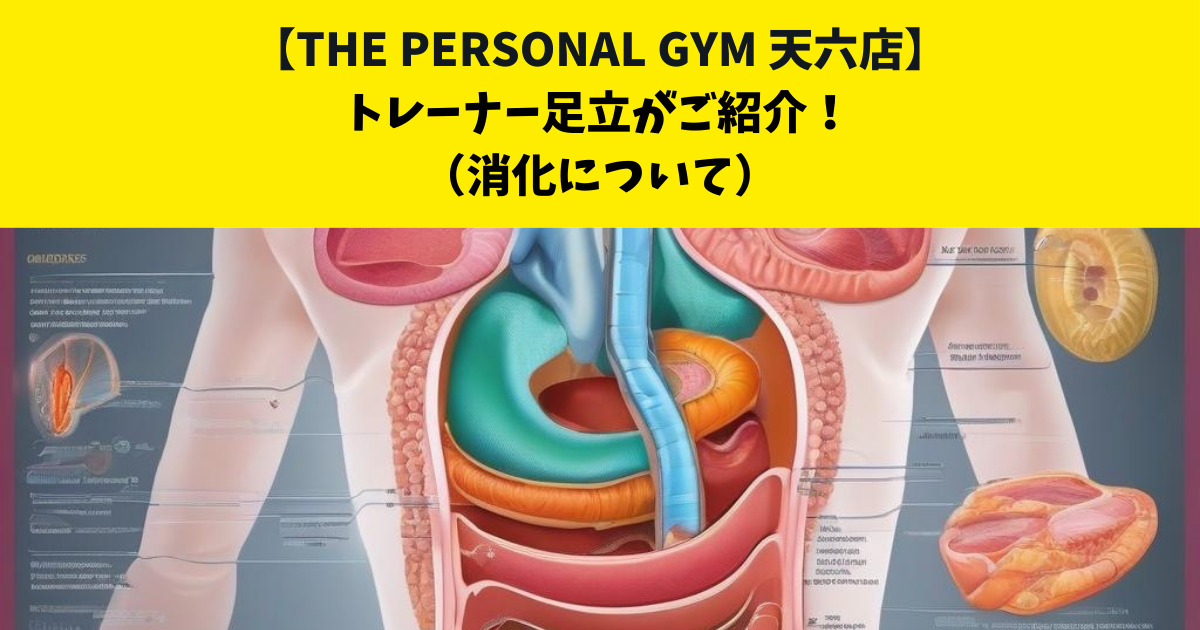 THE PERSONAL GYM （ザ　パーソナルジム）天六店トレーナーが伝える【消化の流れ】について