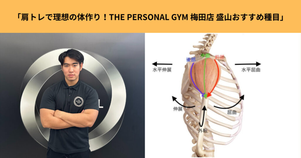 「肩のトレーニング方法で理想の体作り！THE PERSONAL GYM 梅田店 盛山のおすすめエクササイズ」