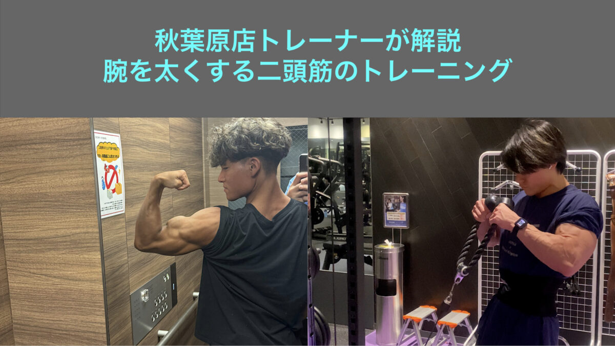 ブログ用