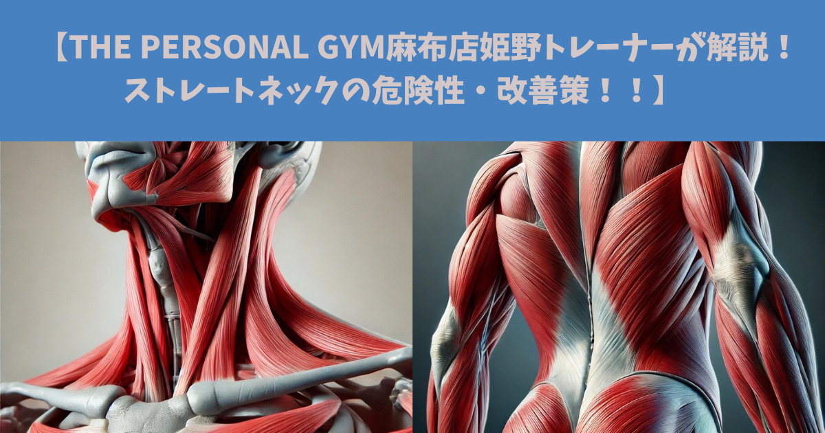 【THE PERSONAL GYM麻布店姫野トレーナーが解説！ストレートネックの危険性・改善策！！】