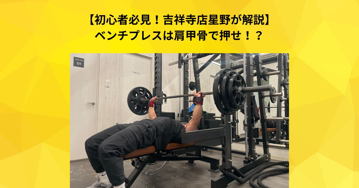 【初心者必見！吉祥寺店星野が解説】ベンチプレスは肩甲骨で押せ！？〜BP解説Part1〜