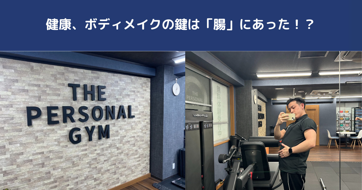 【腸内環境を整える】今話題となっている、「腸活」についてTHE PERSONAL GYM日暮里店田島トレーナーが解説！