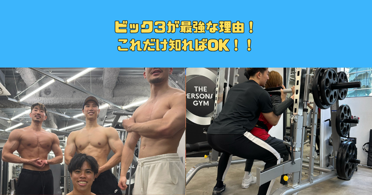 ビック３が最強な理由！これだけ知ればOK！！