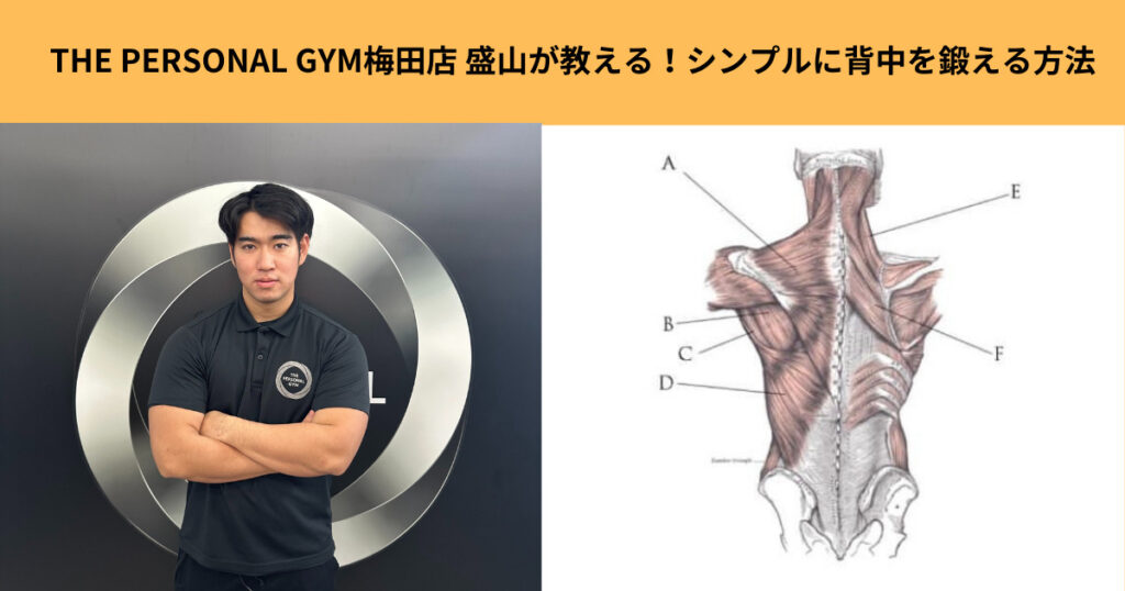 THE PERSONAL GYM梅田店 盛山が教える！シンプルに背中を鍛える方法