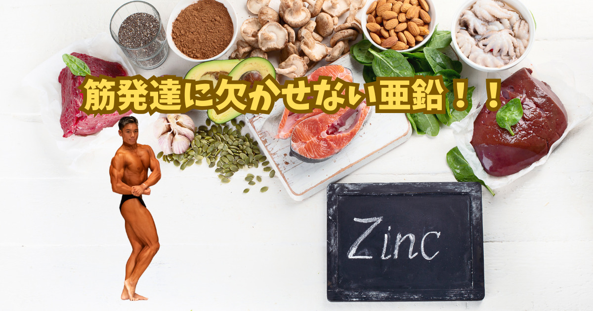 【体づくりに重要なミネラル、亜鉛についての解説】六本木・乃木坂周辺で人気のパーソナルジム