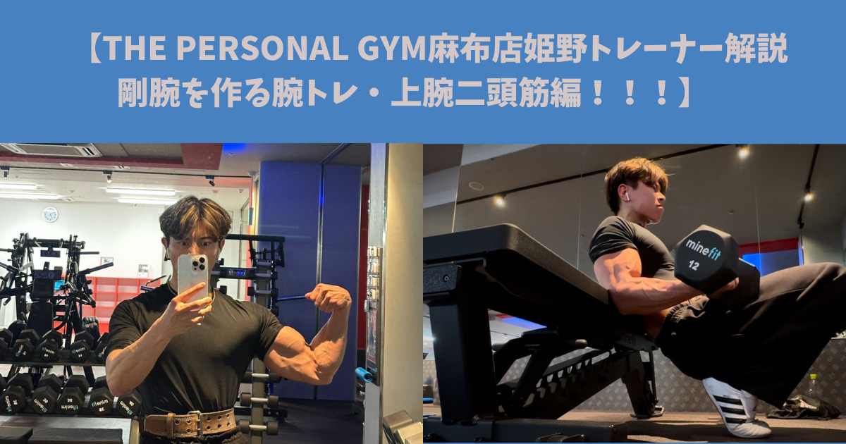 【THE PERSONAL GYM麻布店姫野トレーナーが解説！剛腕を作る腕トレ・上腕二頭筋編！！】