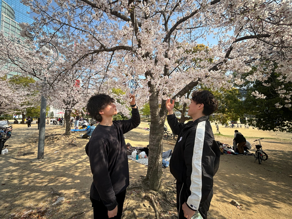 足立・佐藤トレーナーと桜 