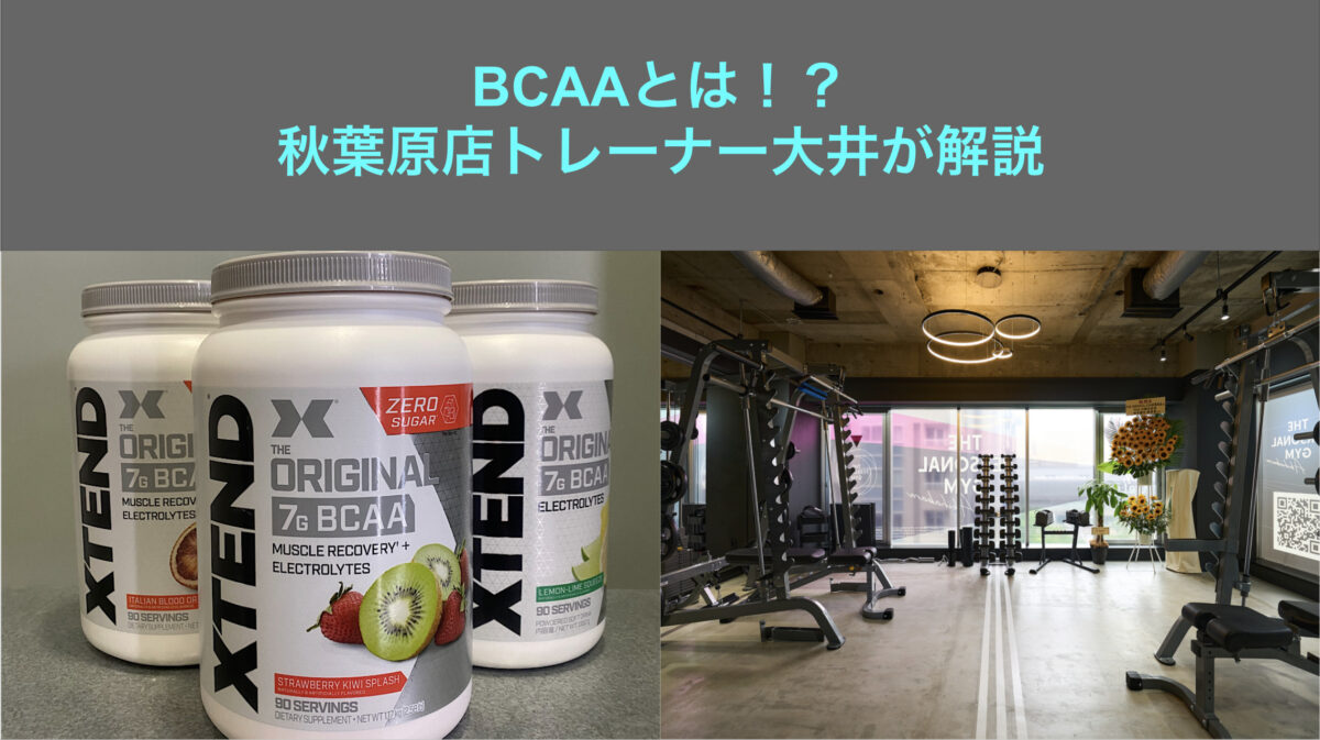 ブログ用写真