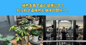 植物好き新宿御苑トレーナーが教える健康と植物の意外な関係