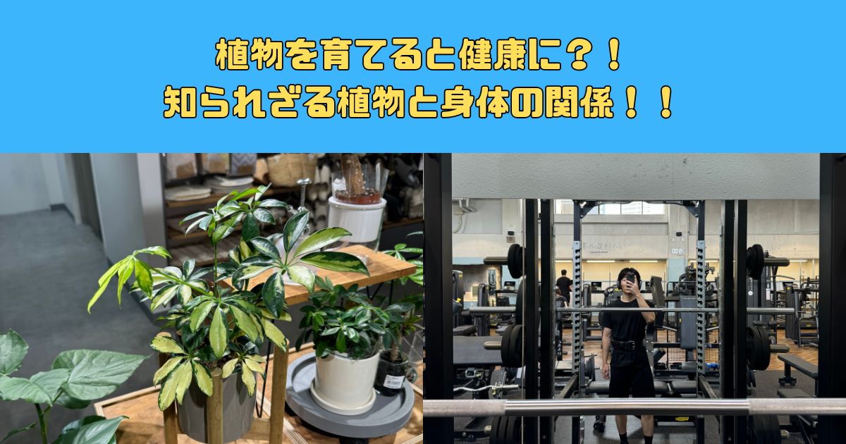 植物好き新宿御苑トレーナーが教える健康と植物の意外な関係