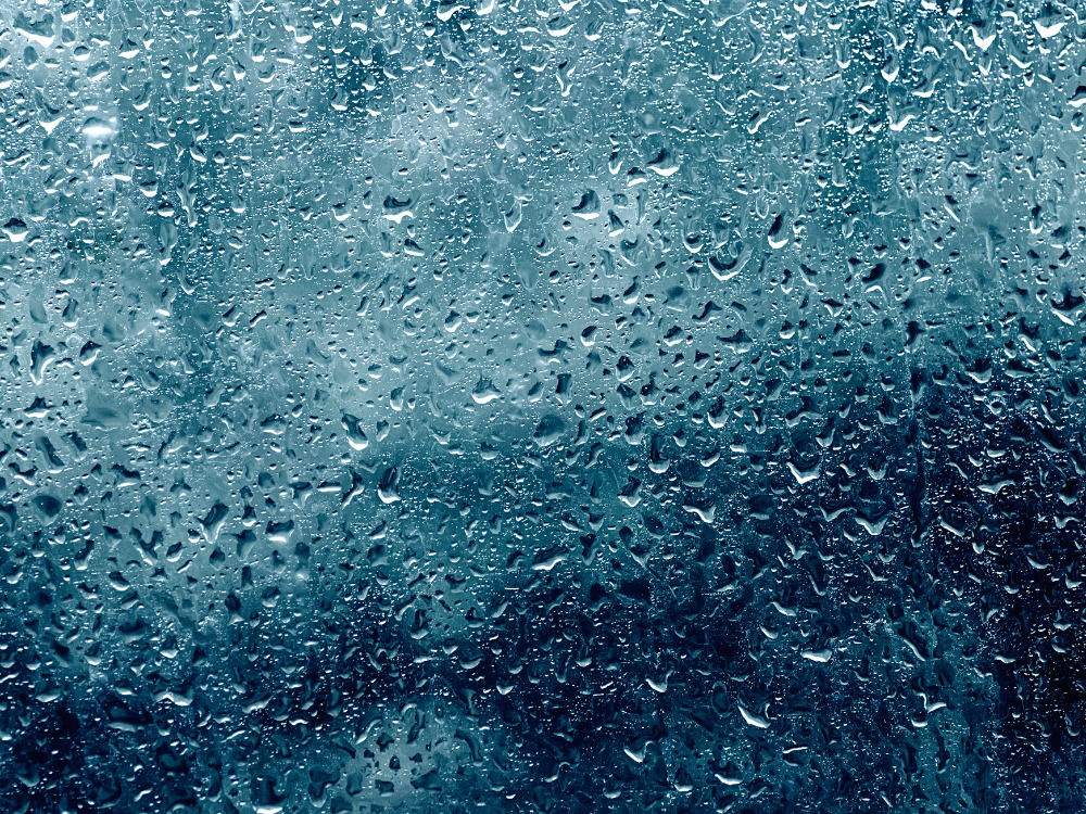 梅雨の様子