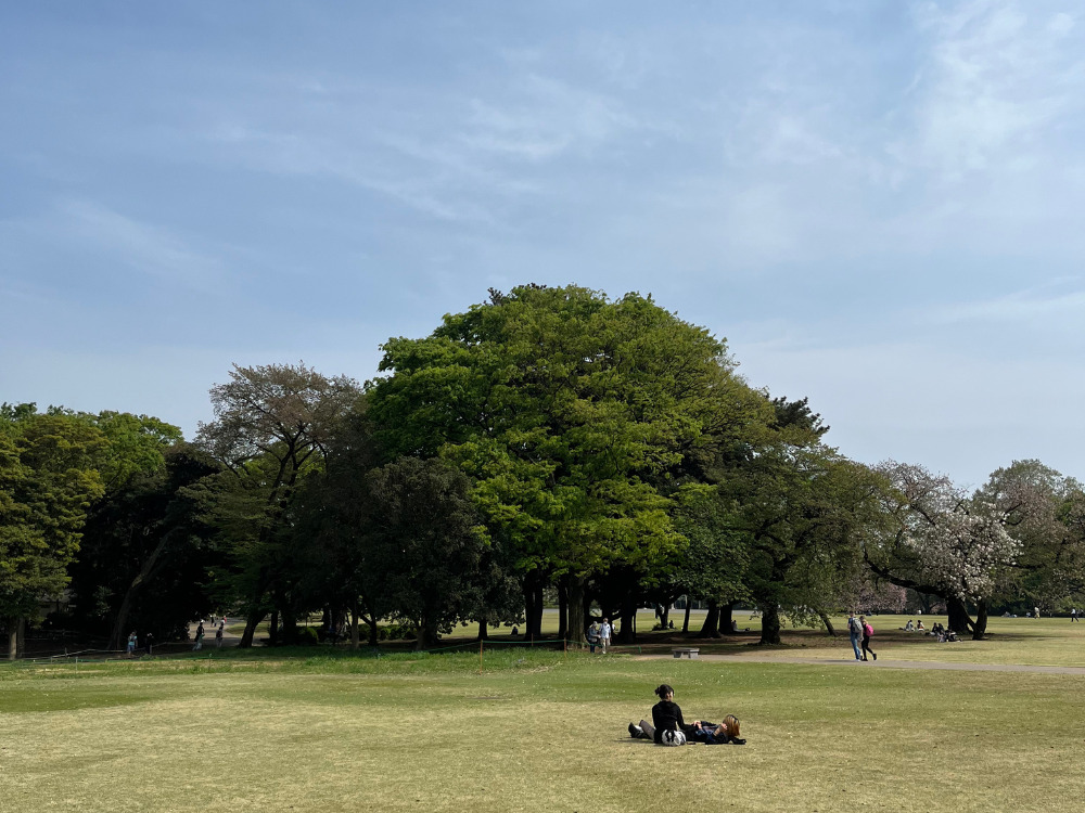4月の風景