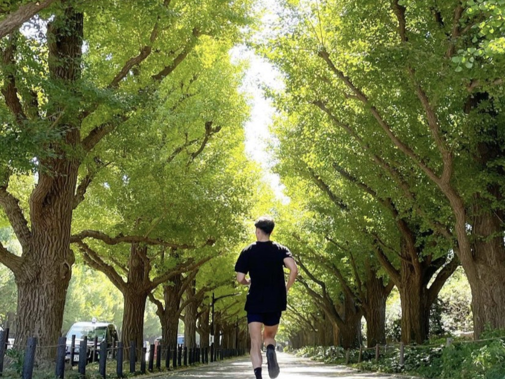 樹木の中をランニングする写真