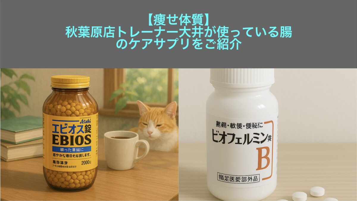 ブログ用