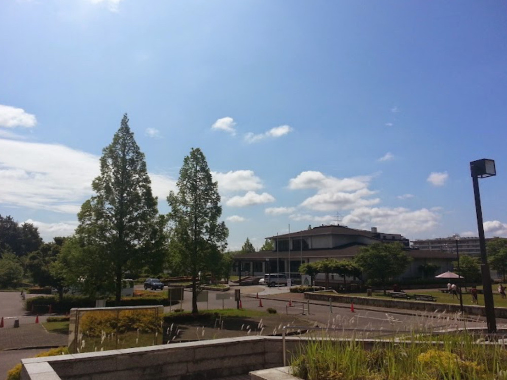 口論議運動公園