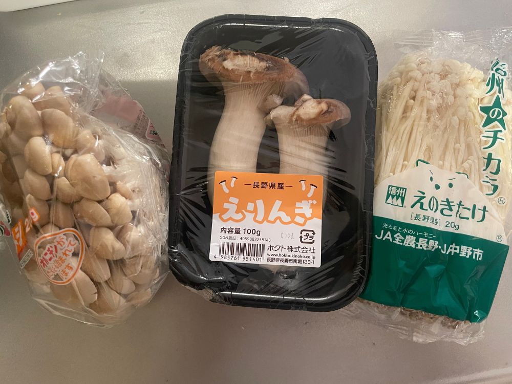 色んなきのこ