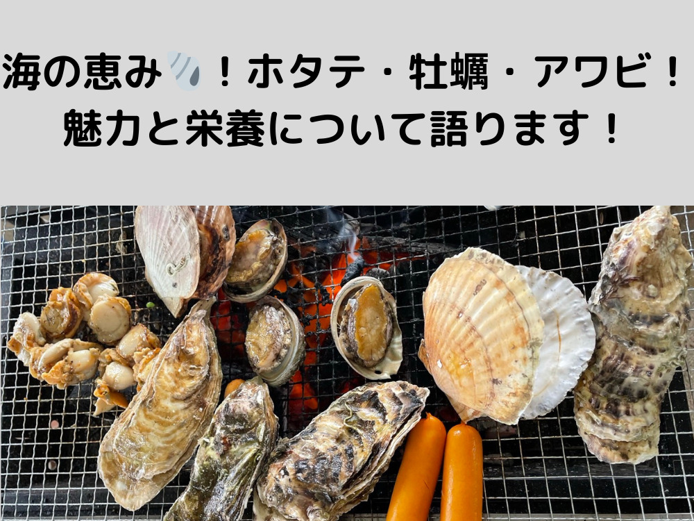 海の恵み！ホタテ・牡蠣・アワビの魅力と栄養について菊川店トレーナー太田が語ります！