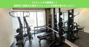 【ストレッチの重要性！】柔軟性と回復力を高めてトレーニング効果を最大化しよう！
