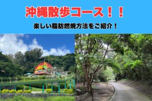 自然の素晴らしさを実感！！沖縄那覇市のトレーナーがおすすめする！お散歩スポットをご紹介！！