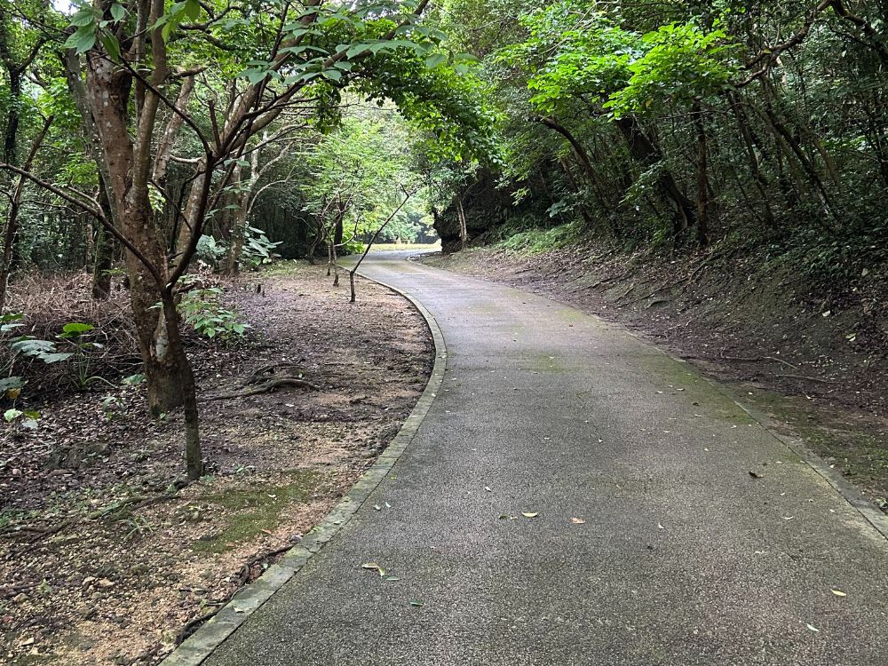 浦添大公園内避暑地の写真