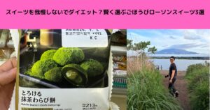 スイーツを我慢しないでダイエット？賢く選ぶごほうびローソンスイーツ3選