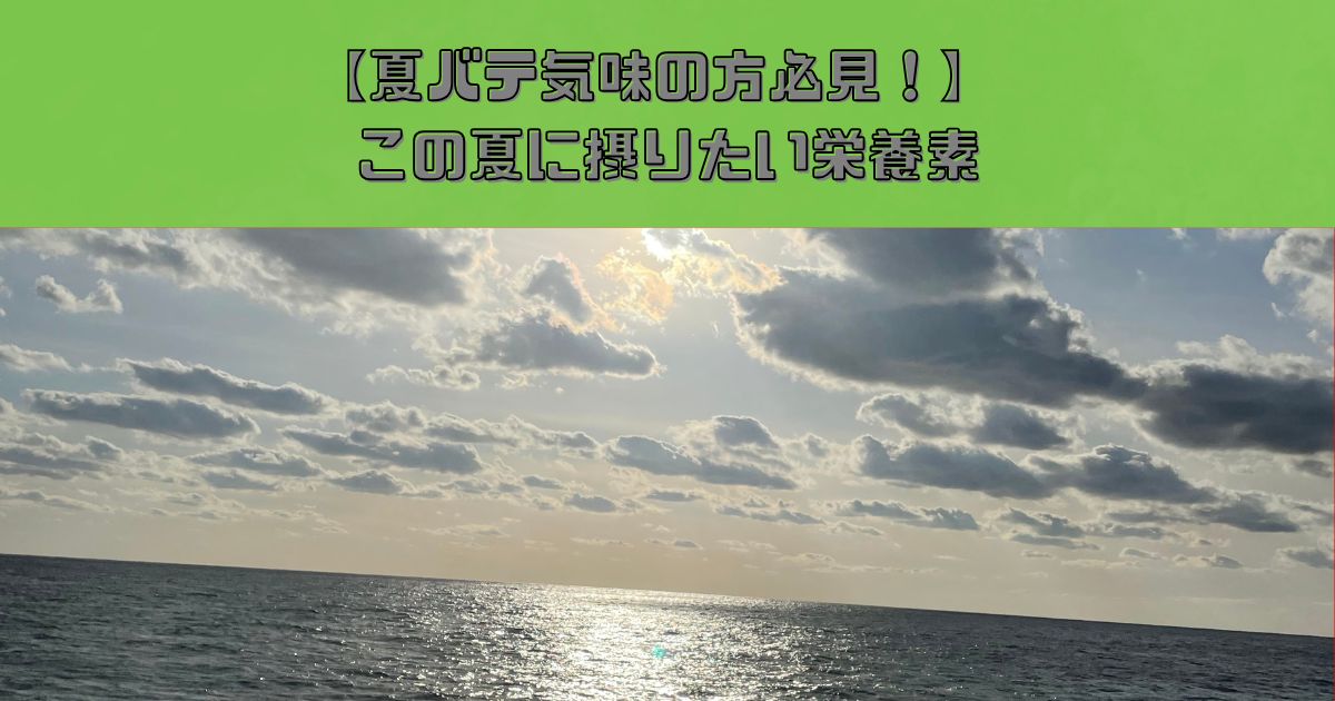 【夏バテ気味の方必見!!】夏バテ予防に欠かせない栄養素とは？錦糸町で栄養指導ならTHE PERSONAL GYMへ！