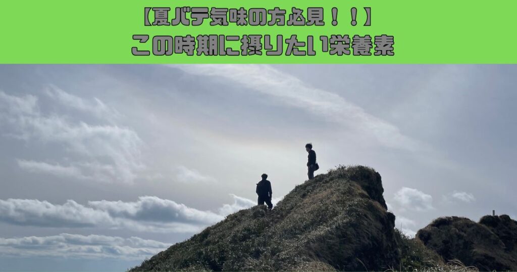 【夏バテ気味の方必見!!】夏バテ予防に欠かせない栄養素とは？錦糸町で栄養指導ならTHE PERSONAL GYMへ！
