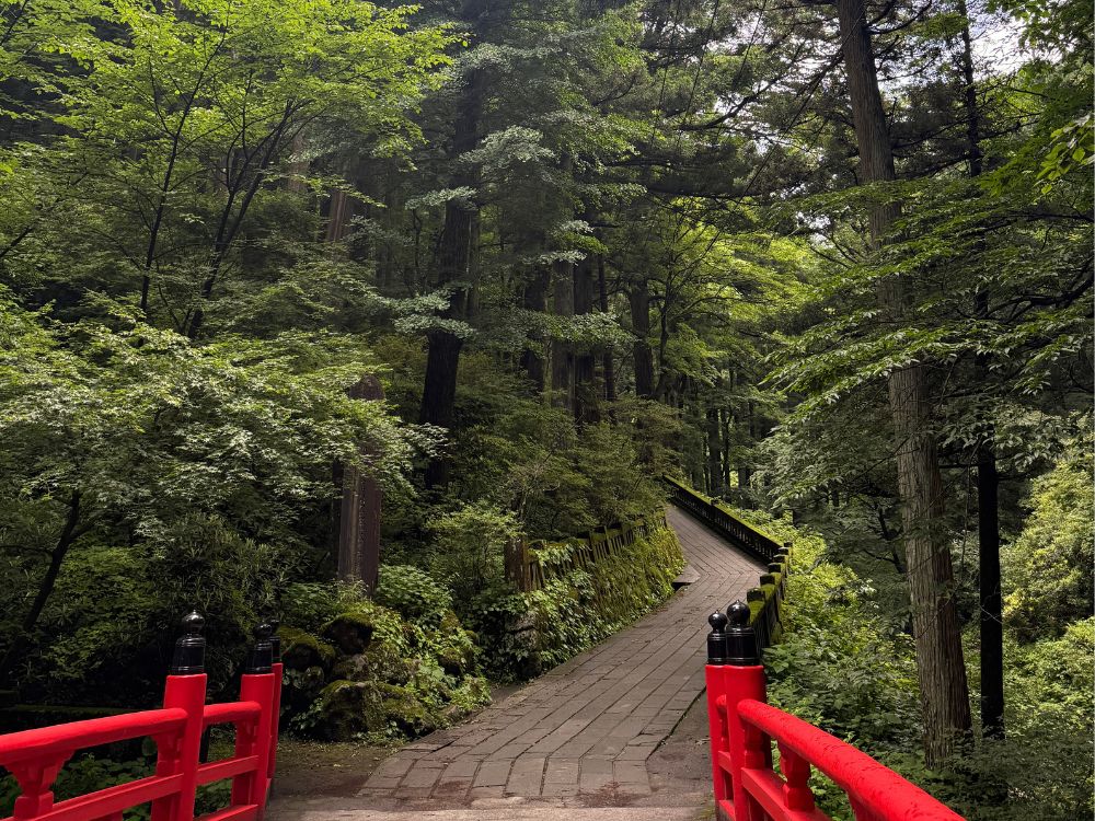 自然のある神社