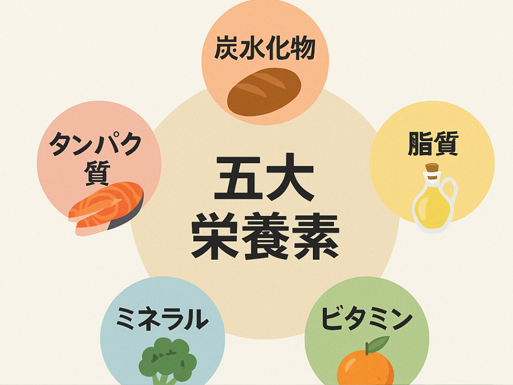 五大栄養素画像