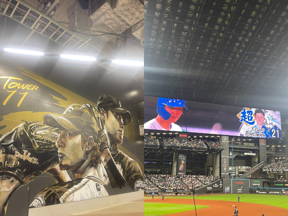 大谷翔平選手とダルビッシュ有選手の壁画(左） 北海道日本ハムファイターズの新球場エスコンフィールドの写真(右)
