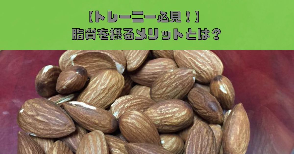 ボディメイクで脂質を摂るメリットとは？｜THE PERSONAL GYM錦糸町店