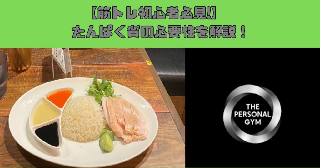 【錦糸町でパーソナルジムを探している方必見】たんぱく質を摂る必要性とは？