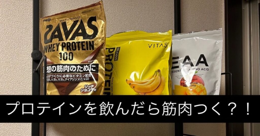 【プロテインを飲んだら筋肉つく？】についてTHE PERSONAL GYM本八幡店の新江が説明します！