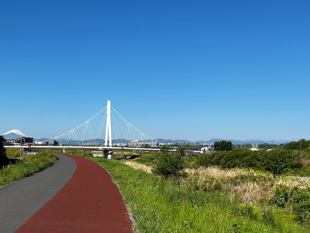 朝、散歩の風景